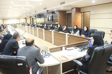 رونمایی از نرم افزار پیشگیری از آلزایمر در سالمندان